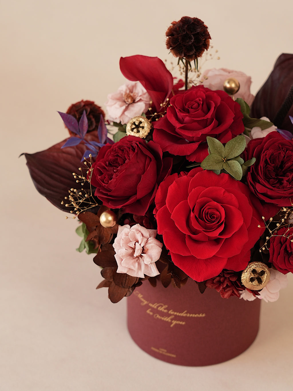 Signature JP100 — Crimson Oath