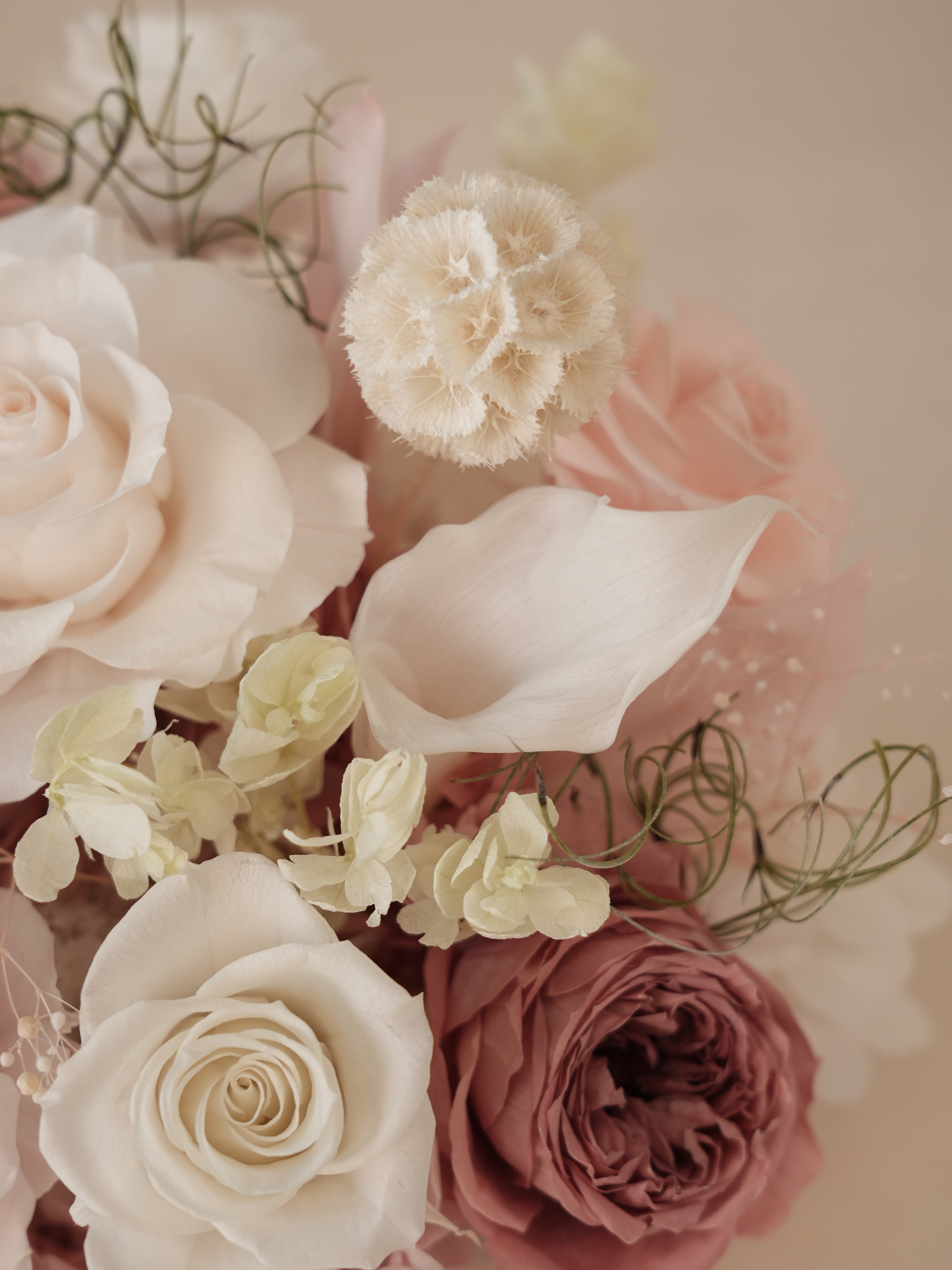 Signature JP100 — Whispered Blush