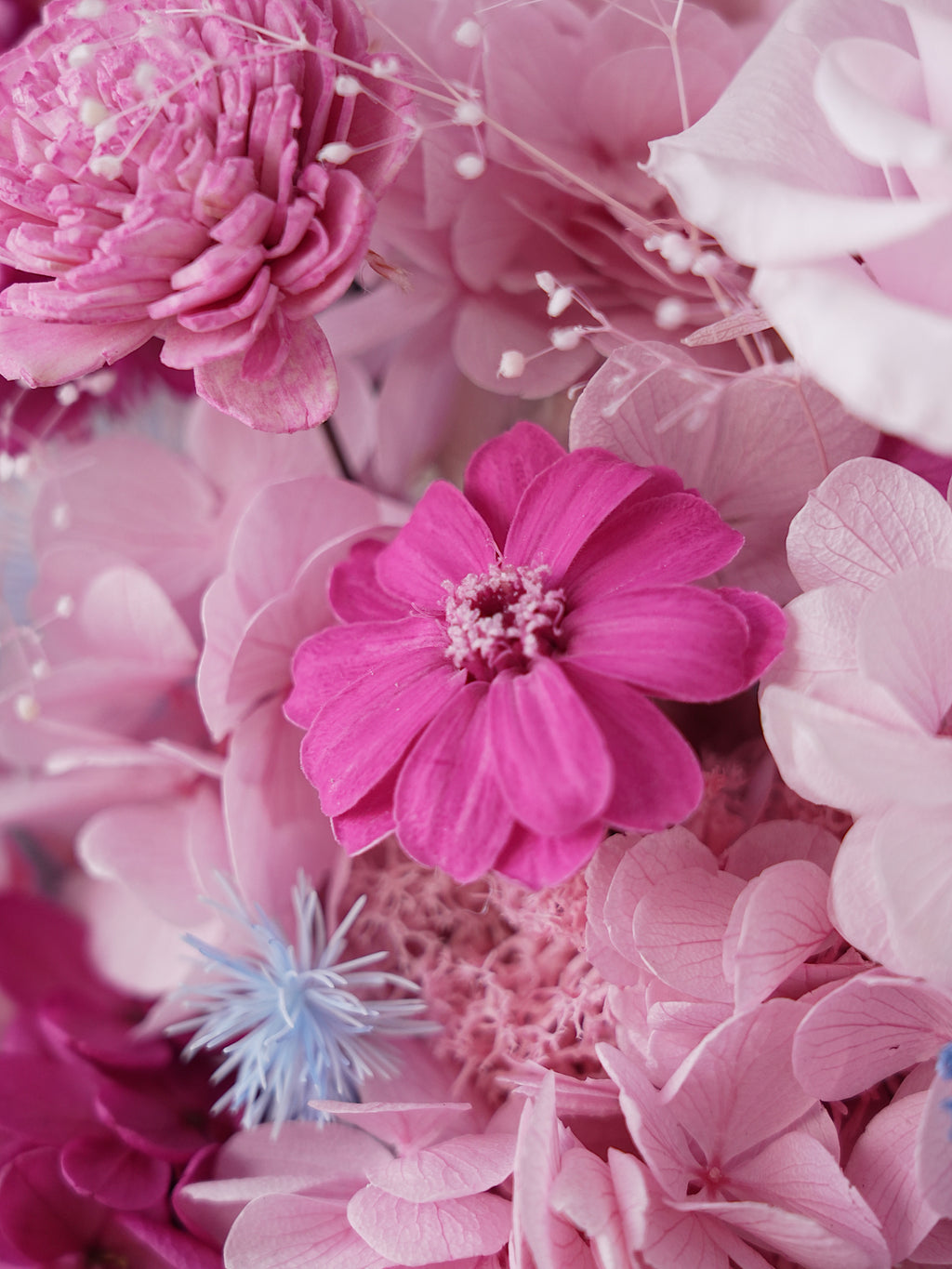 Signature JP200 — Miyabi Octagon Collection