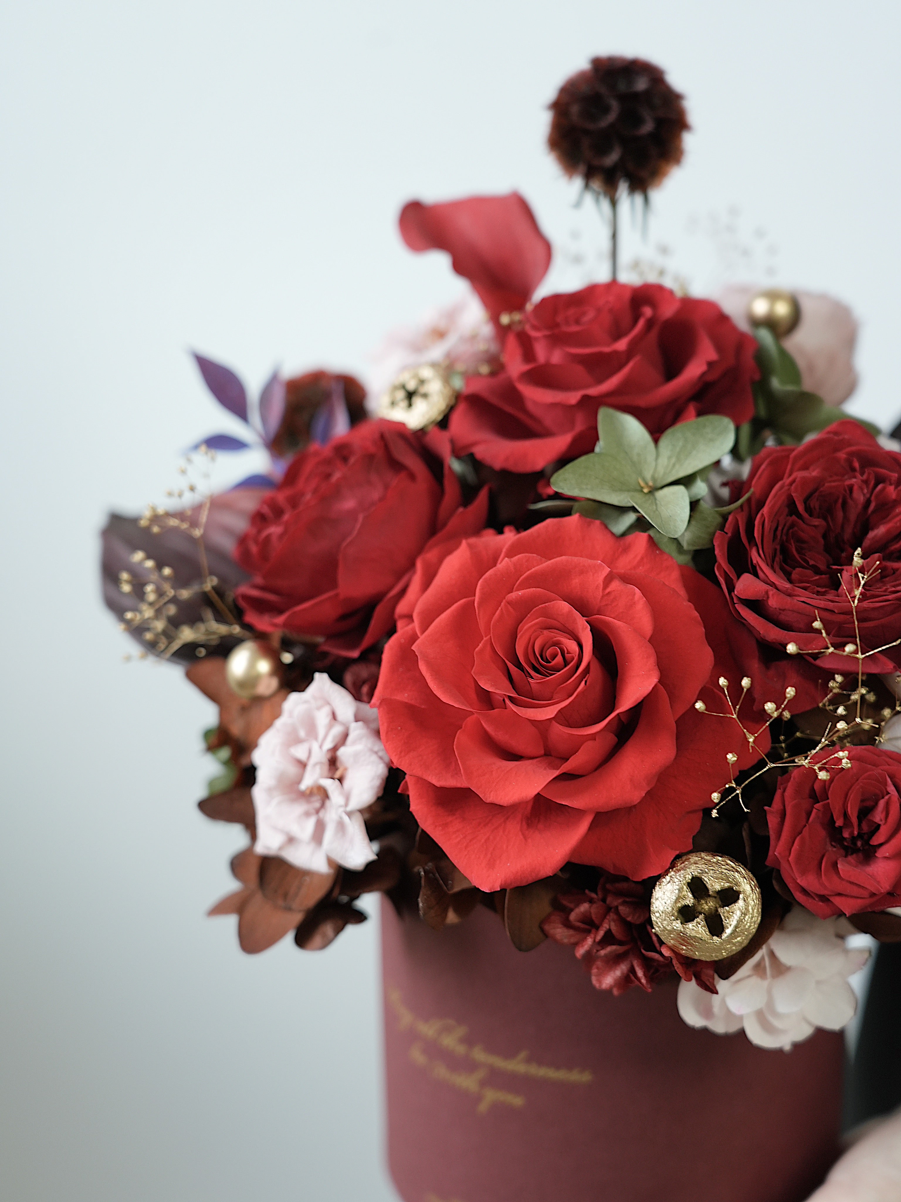 Signature JP100 — Crimson Oath