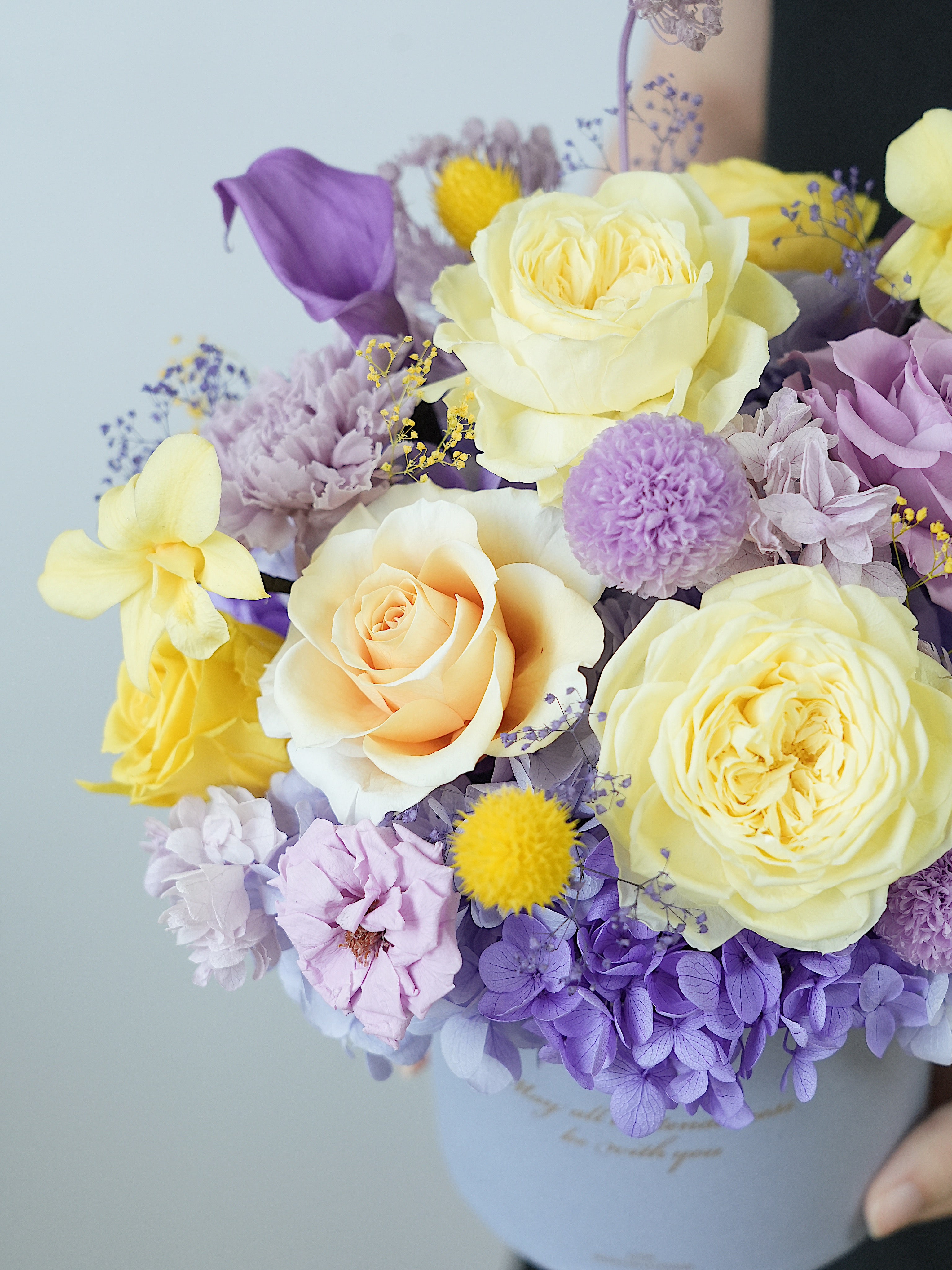 Signature JP100 — Sunlit Amethyst