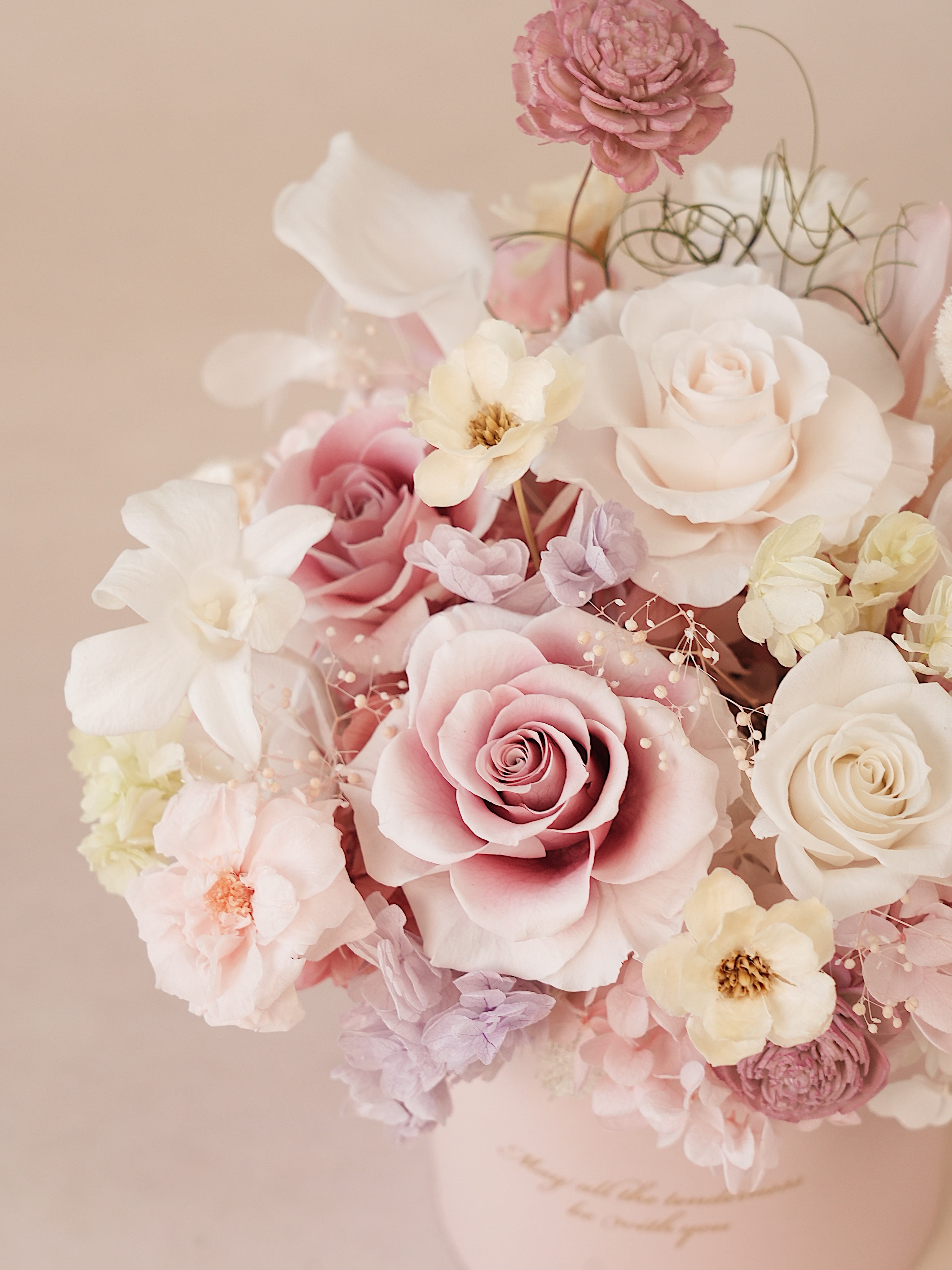 Signature JP100 — Whispered Blush