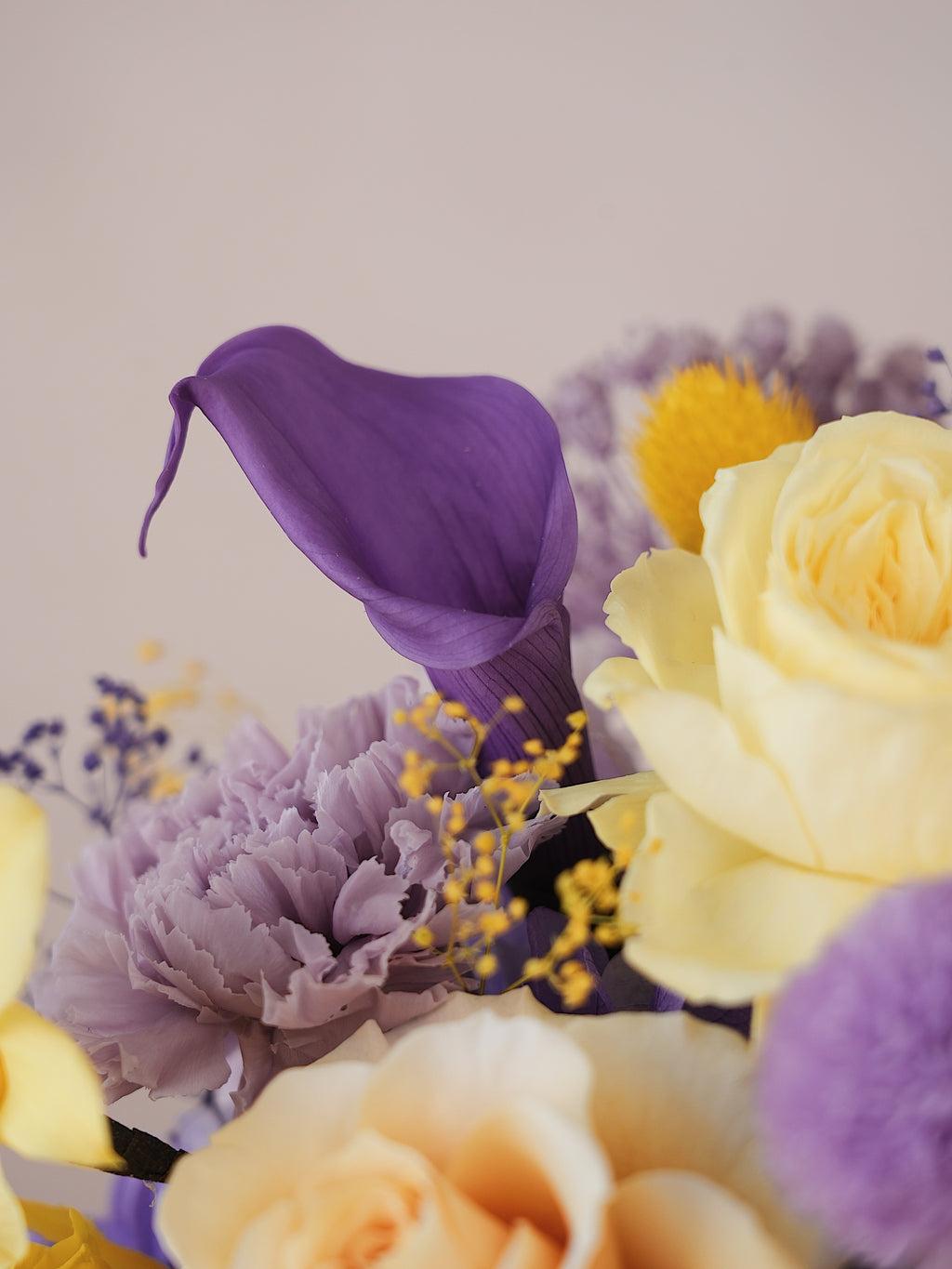 Signature JP100 — Sunlit Amethyst