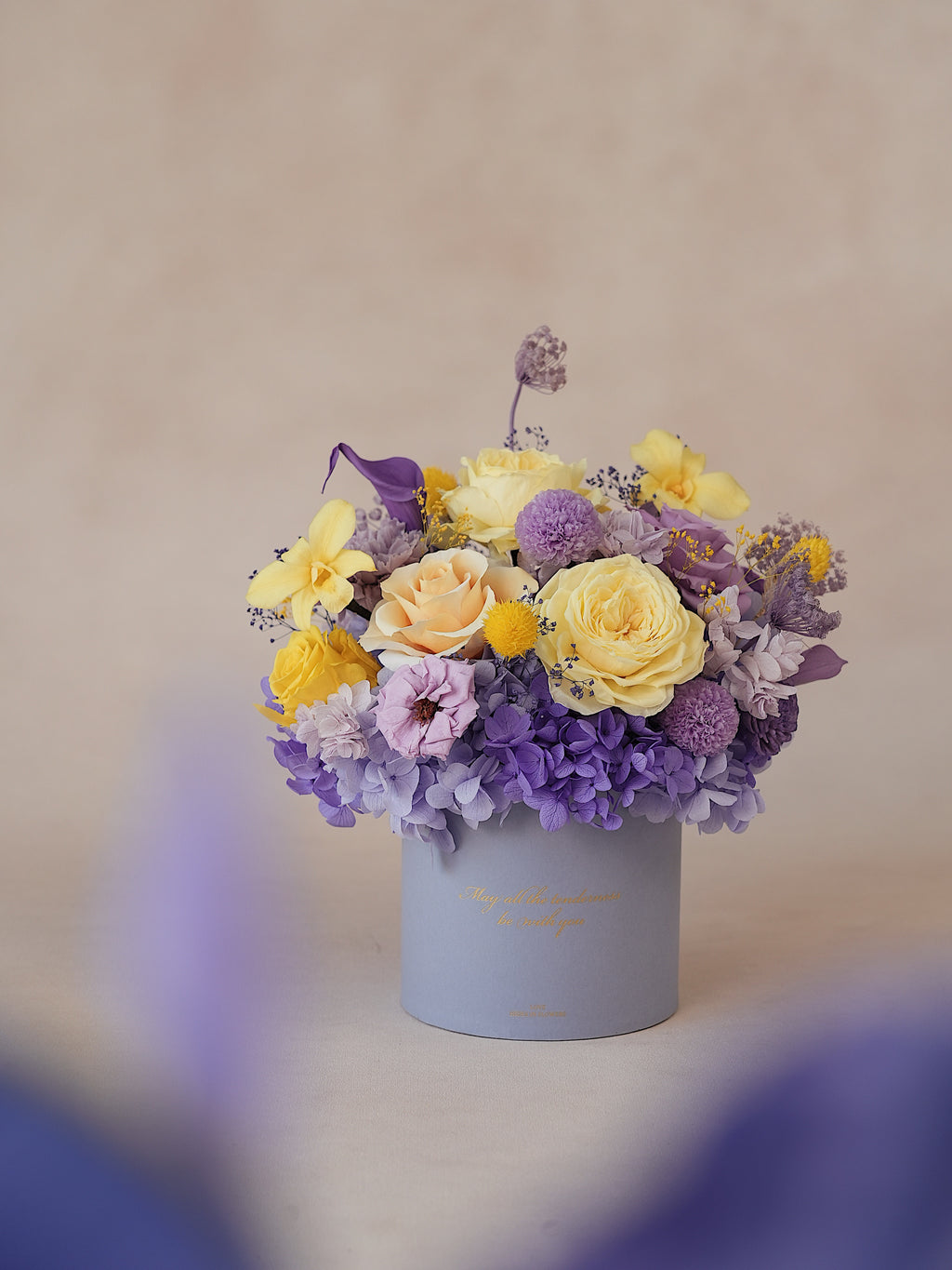 Signature JP100 — Miyabi Embrace Collection