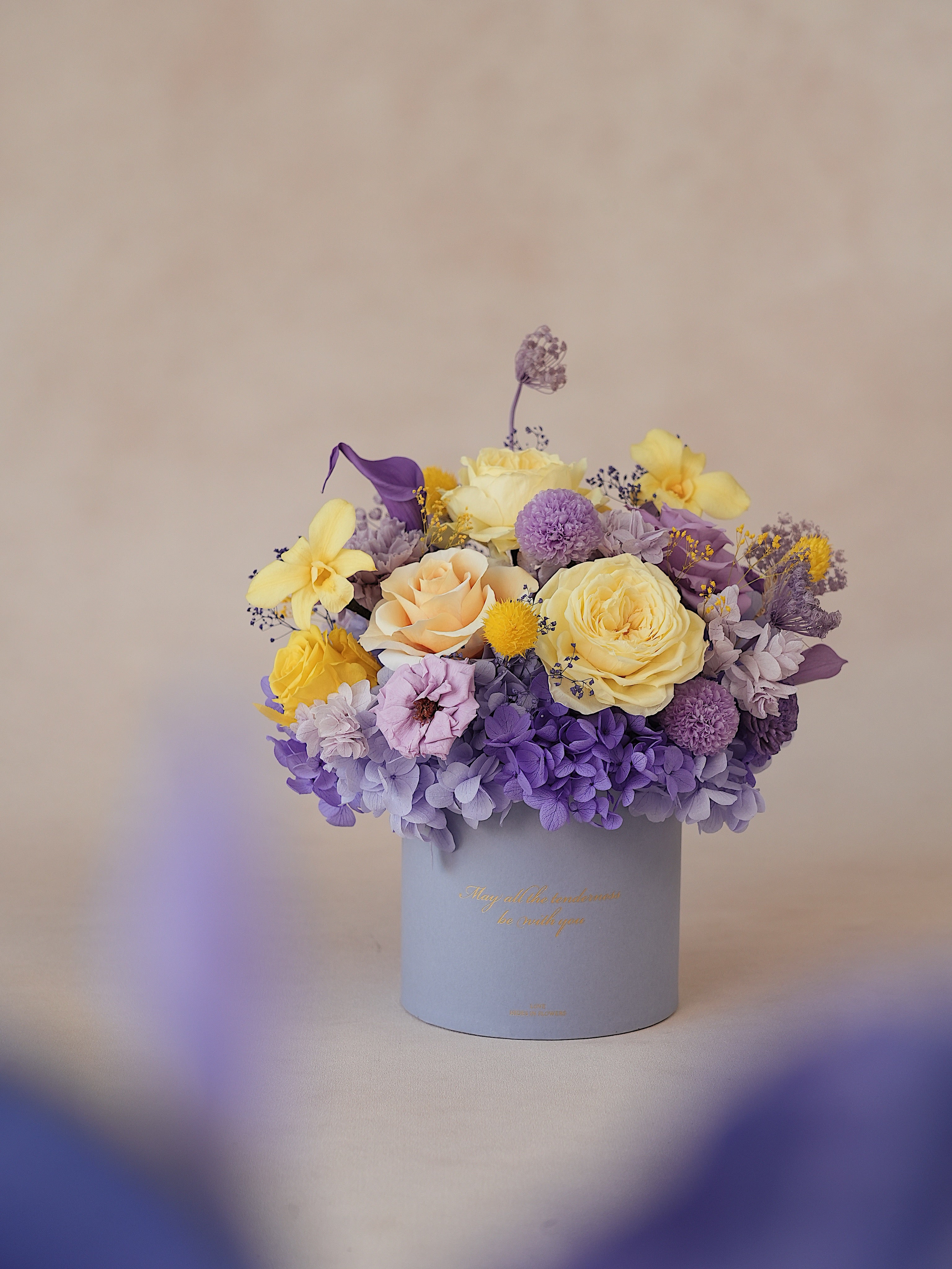 Signature JP100 — Miyabi Embrace Collection