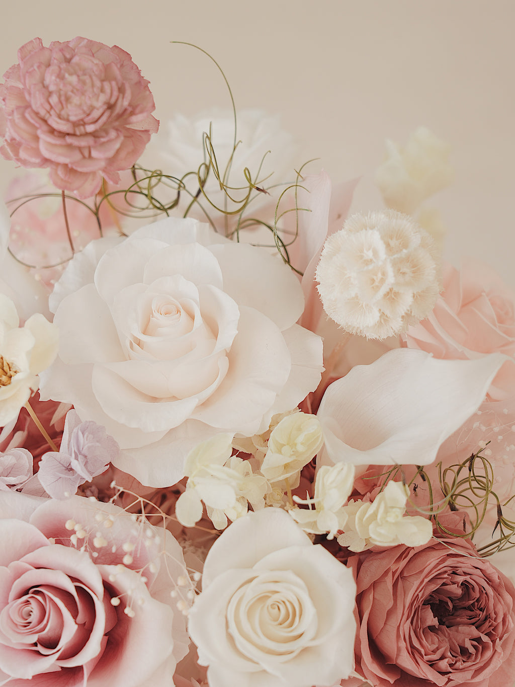 Signature JP100 — Whispered Blush