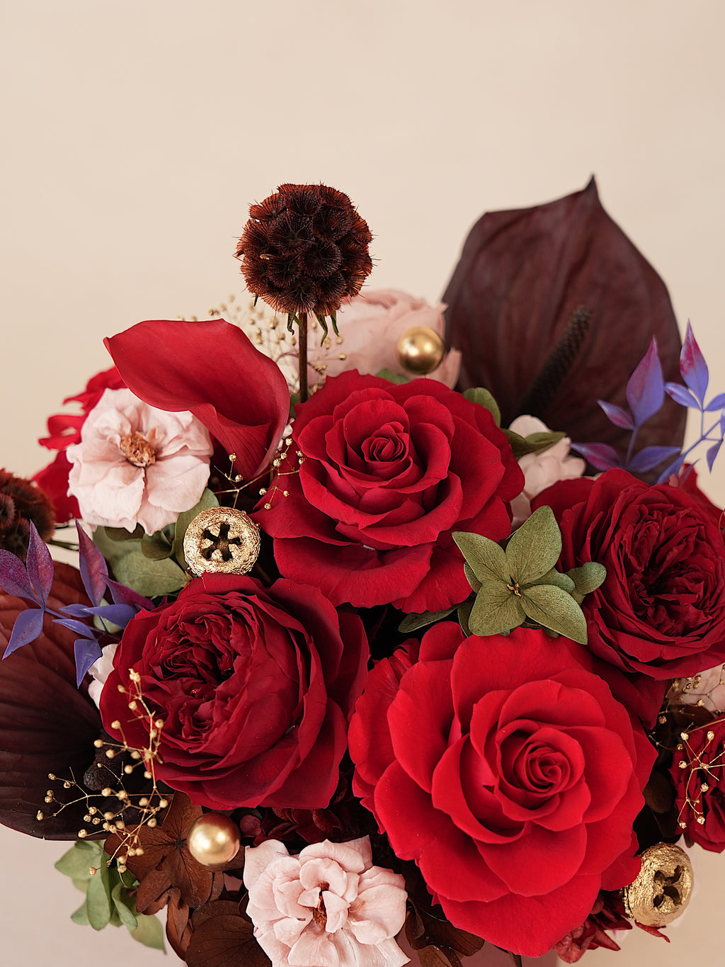 Signature JP100 — Crimson Oath