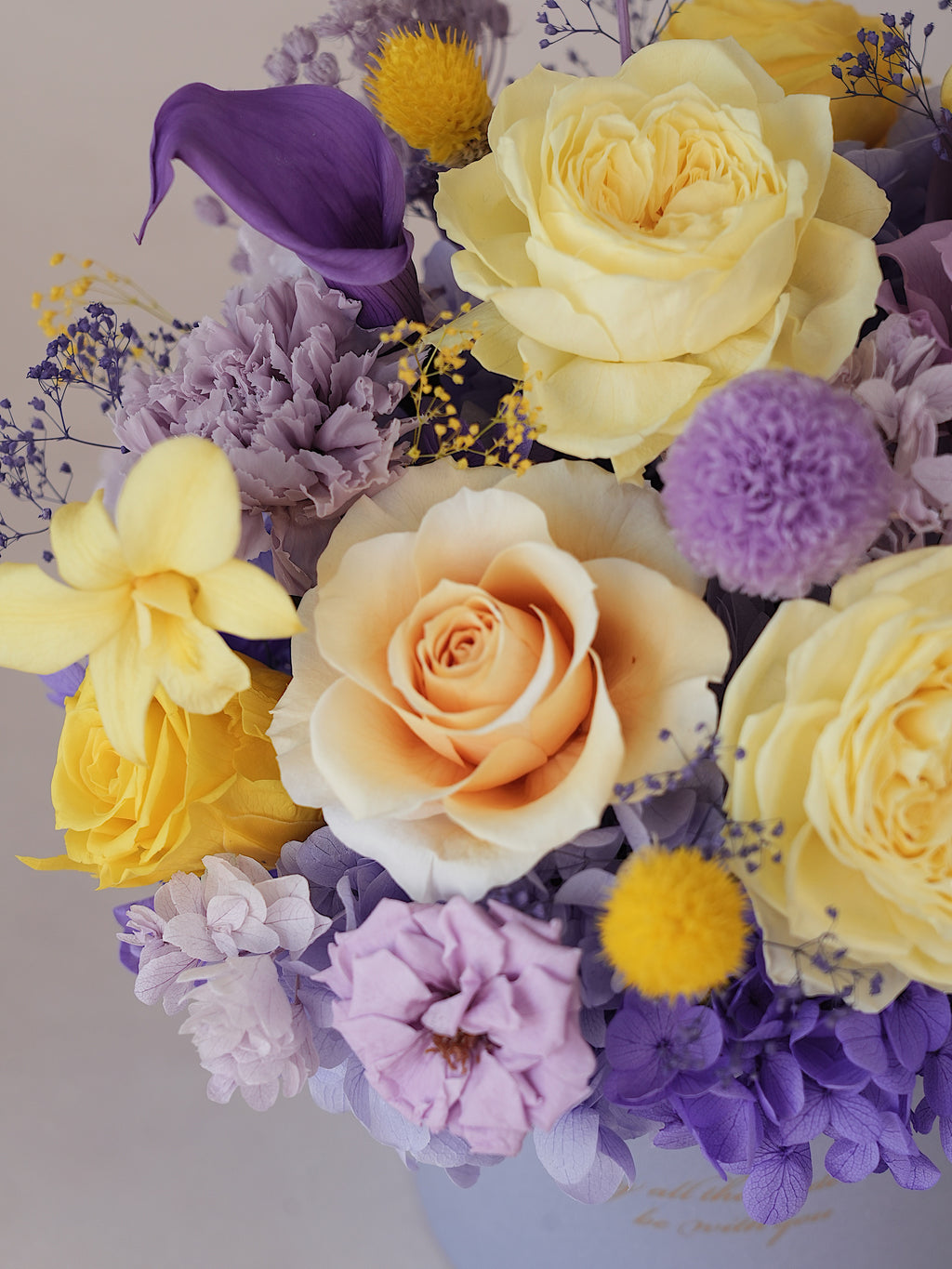 Signature JP100 — Miyabi Embrace Collection