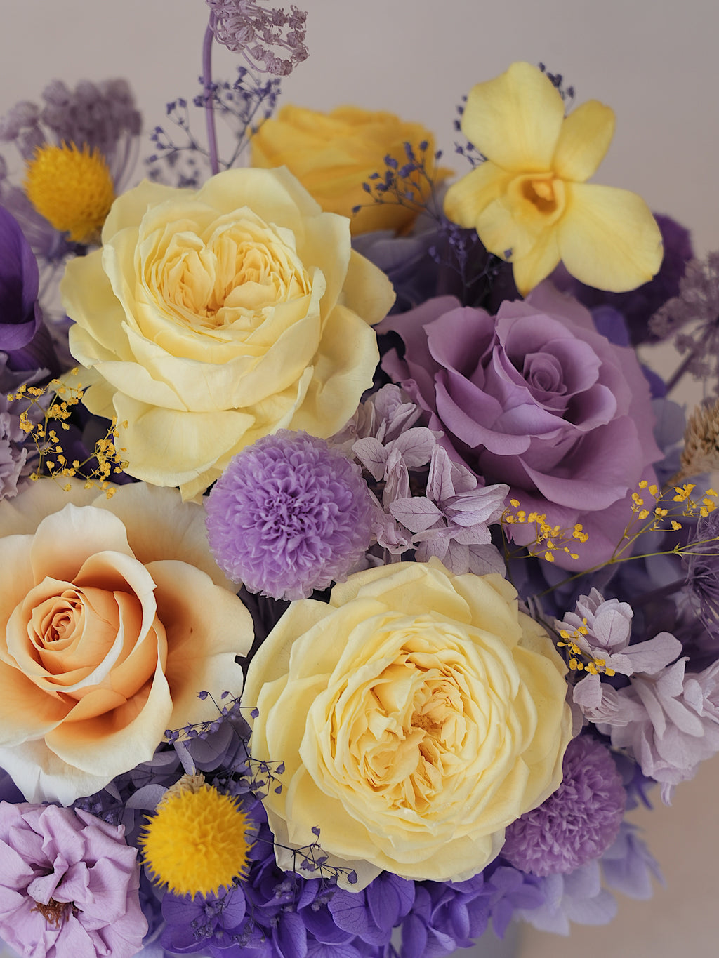 Signature JP100 — Miyabi Embrace Collection