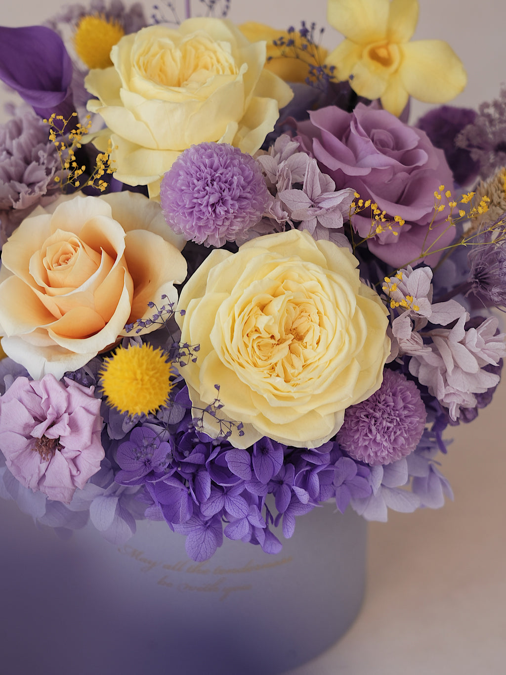 Signature JP100 — Miyabi Embrace Collection