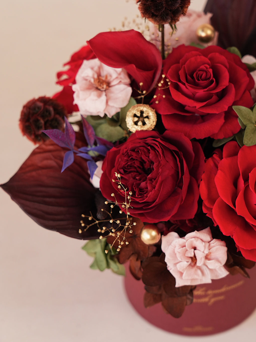 Signature JP100 — Miyabi Embrace Collection