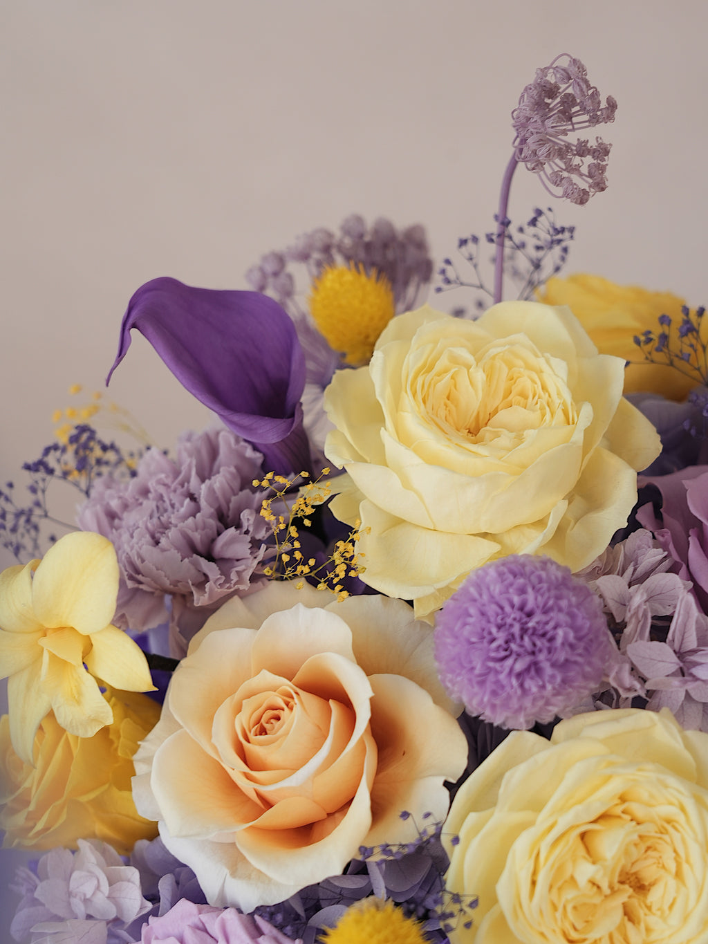 Signature JP100 — Miyabi Embrace Collection