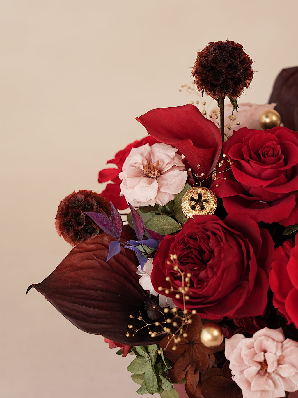 Signature JP100 — Crimson Oath