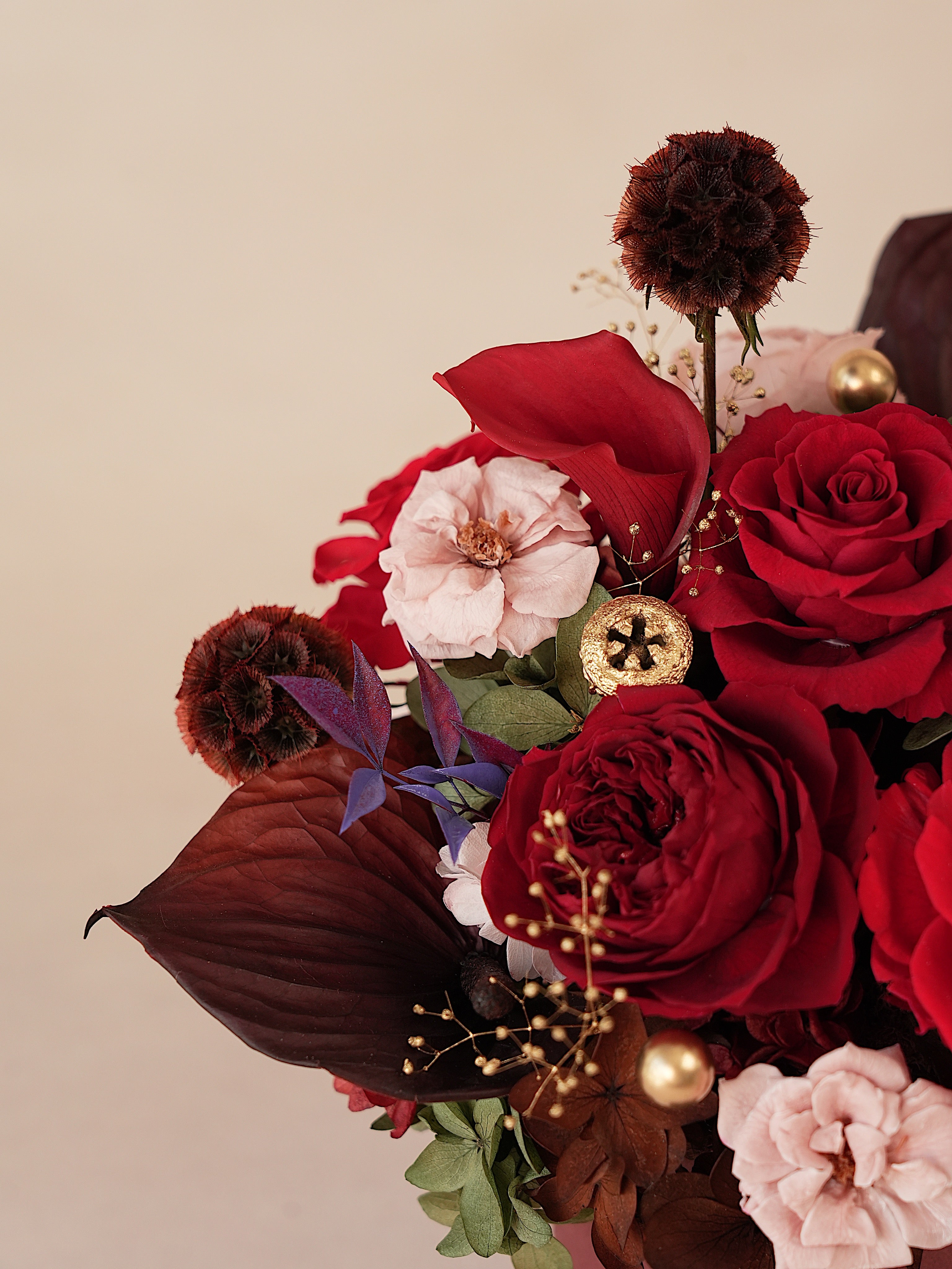 Signature JP100 — Crimson Oath