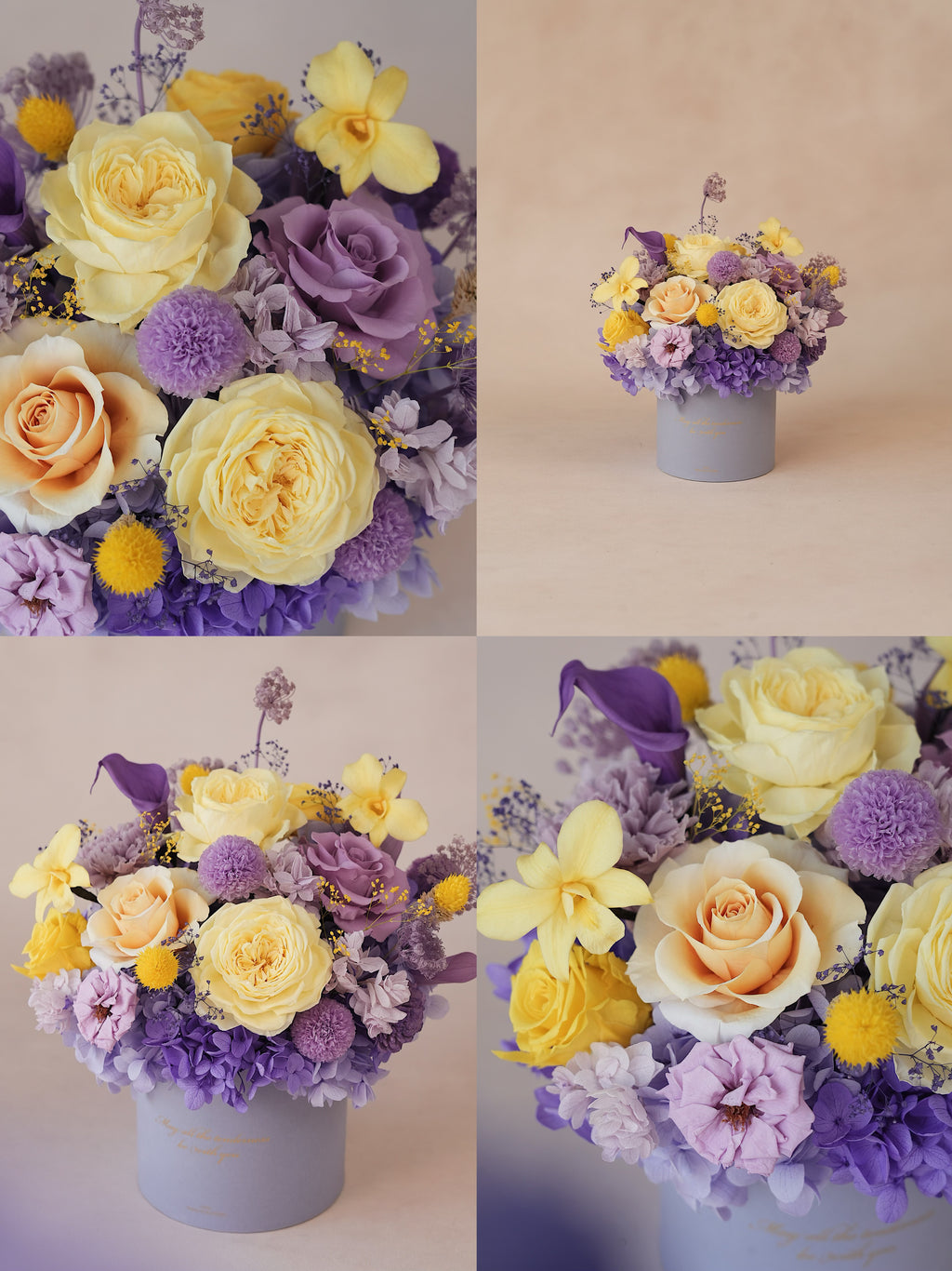 Signature JP100 — Miyabi Embrace Collection